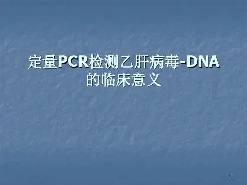 荧光定量PCR检测乙肝病毒DNA的临床意义ppt课件