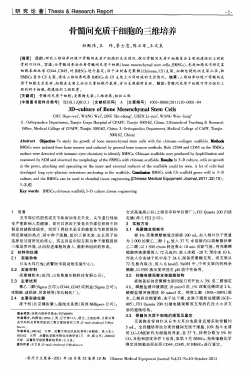 骨髓间充质干细胞的三维培养