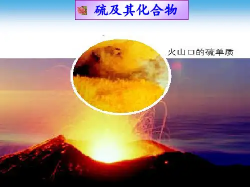 《硫的转化》PPT课件