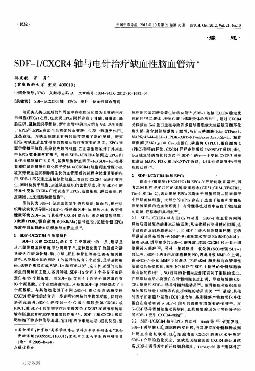 SDF-1%2fCXCR4轴与电针治疗缺血性脑血管病