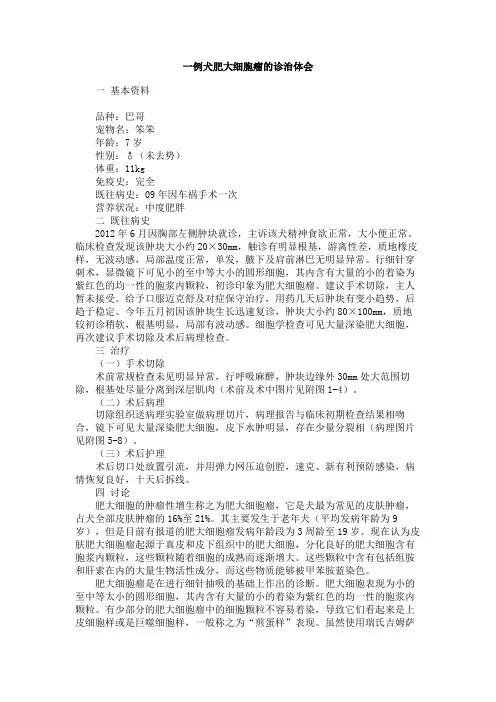 一例犬肥大细胞瘤的诊治体会