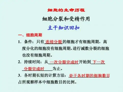 细胞分裂和受精作用