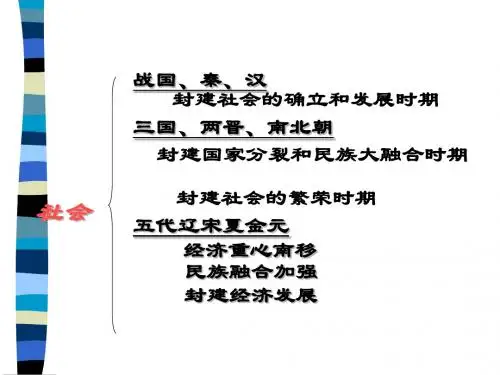 人教版历史课件：《民族政权并立的时代》PPT3