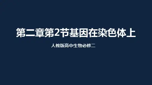 人教版必修二基因在染色体上PPT课件
