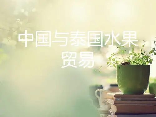 中国与泰国贸易PPT课件