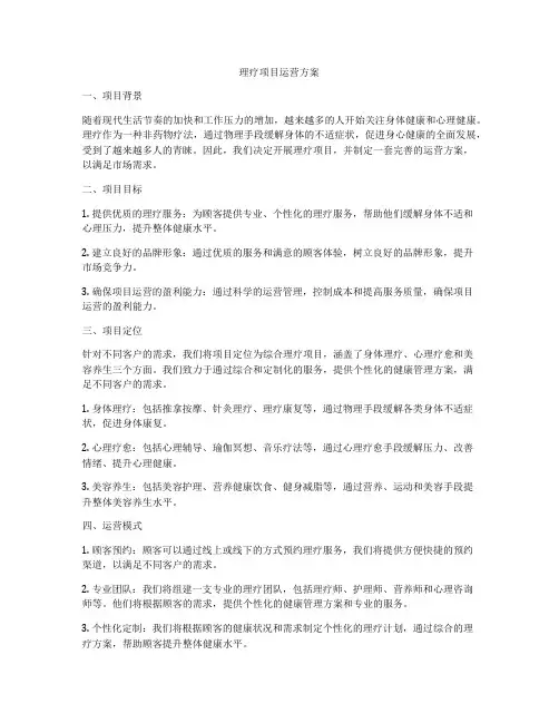理疗项目运营方案