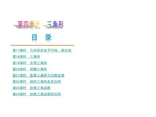 2013届河北省中考复习讲座(第四单元三角形)