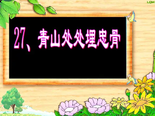 青山处处埋忠骨