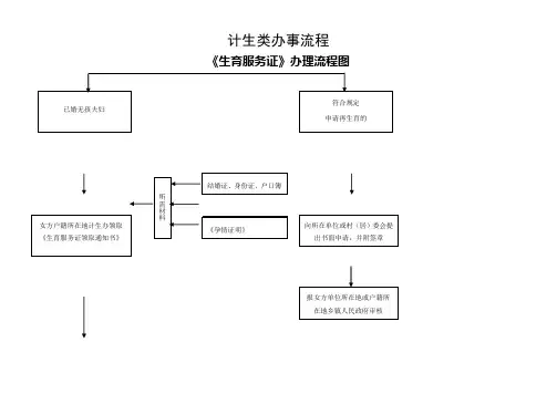 计生类办事流程