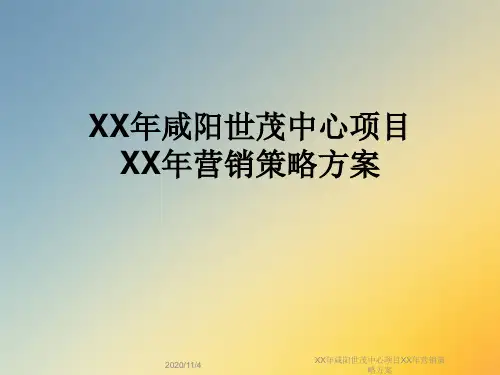 XX年咸阳世茂中心项目XX年营销策略方案