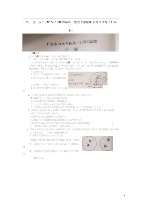四川省广安市2018-2019学年高一生物上学期期末考试试题(扫描版)