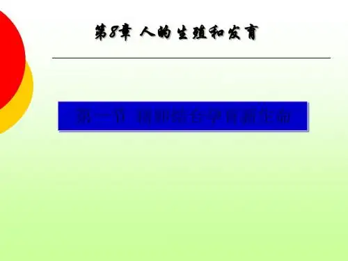 《精卵结合孕育新的生命》教学课件7 苏教版