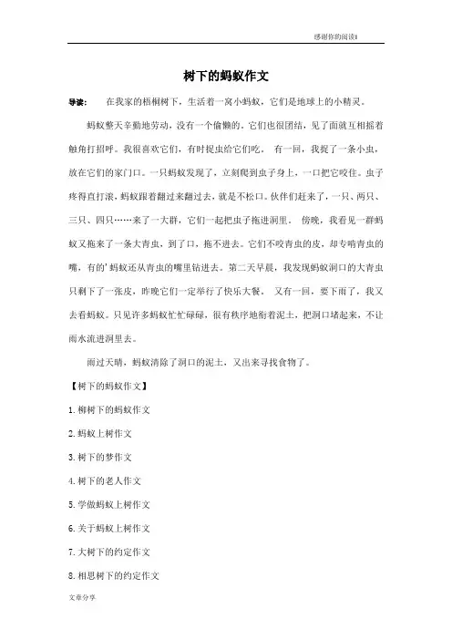 树下的蚂蚁作文
