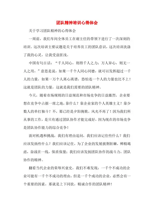 团队精神培训心得体会