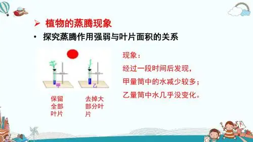 七年级生物上册2.1.2  绿色植物的蒸腾作用