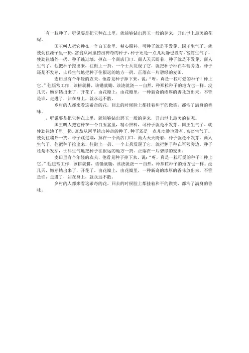 一粒种子 3