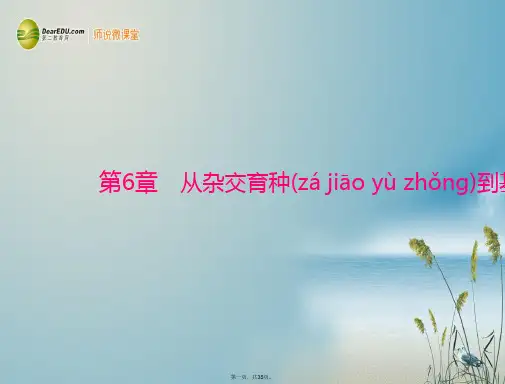 高考生物总复习 第6章 第1、2节 杂交育种与诱变育种、基因工程及其应用课件 新人教版必修2 