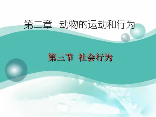 人教版八年级上第五单元第二章第三节 社会行为课件