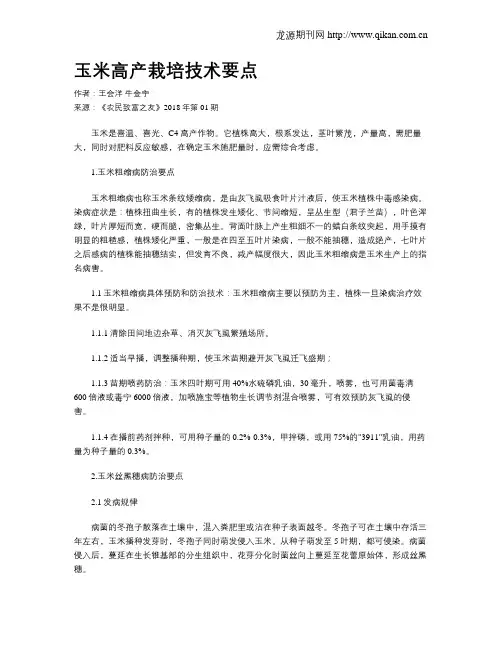 玉米高产栽培技术要点 2