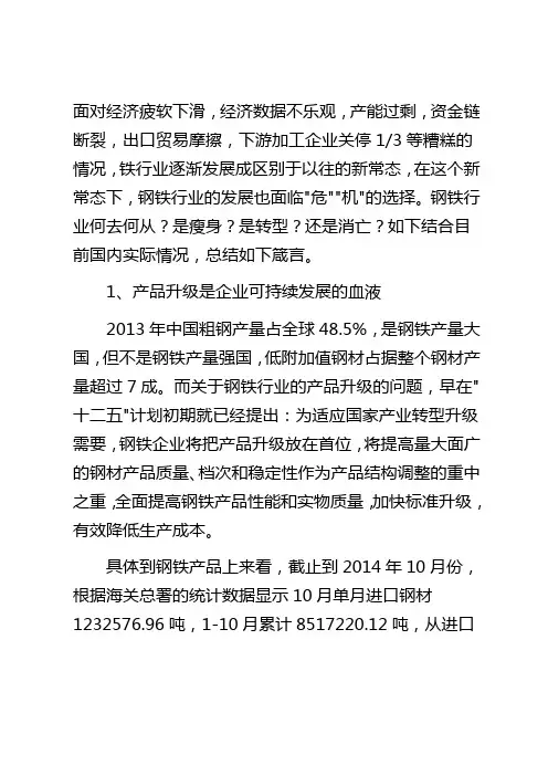 钢铁行业多元产业发展