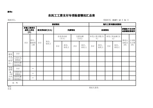 农民工工资支付专项检查情况汇总表