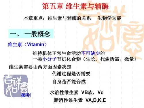 5维生素与辅酶