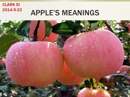 APPLE CULTURE