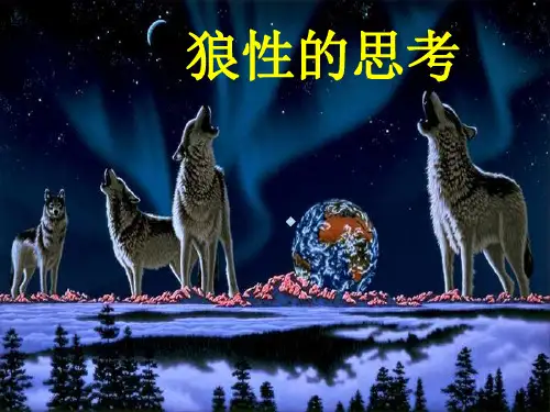 社会保险培训PPT模板