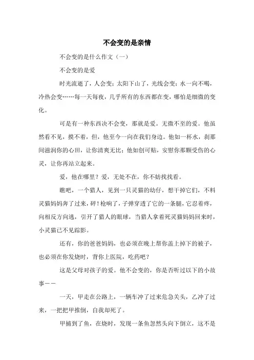 不会变的是亲情-中考满分作文(10篇)
