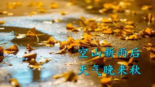 人教部编版三年级上册语文5.《铺满金色巴掌的水泥道》教学课件