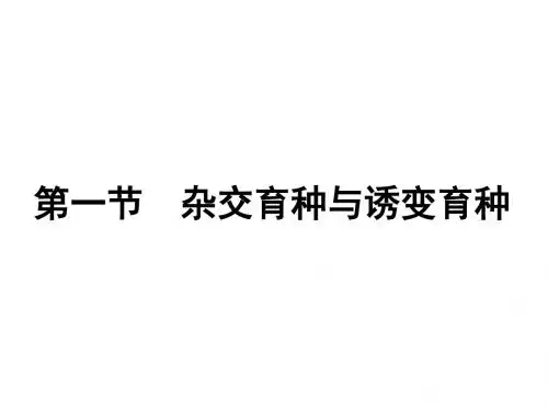 杂交育种与诱变育种课件