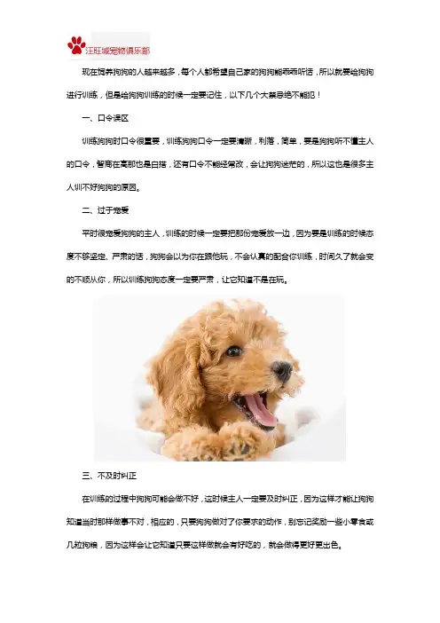 狗狗训练有哪些禁忌不能犯？