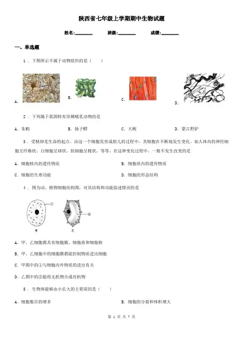 陕西省七年级上学期期中生物试题