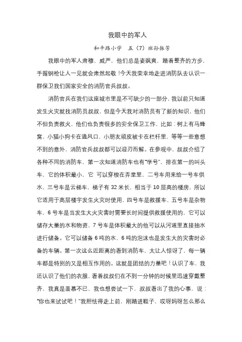 五(7)孙振芳《我眼中的军人》
