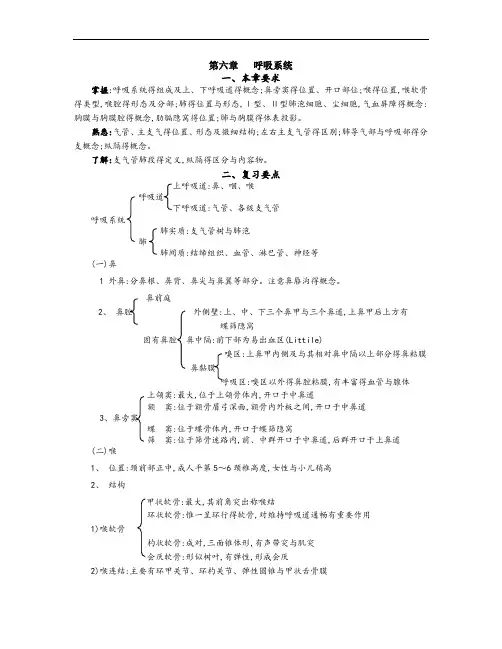 第六章 呼吸系统
