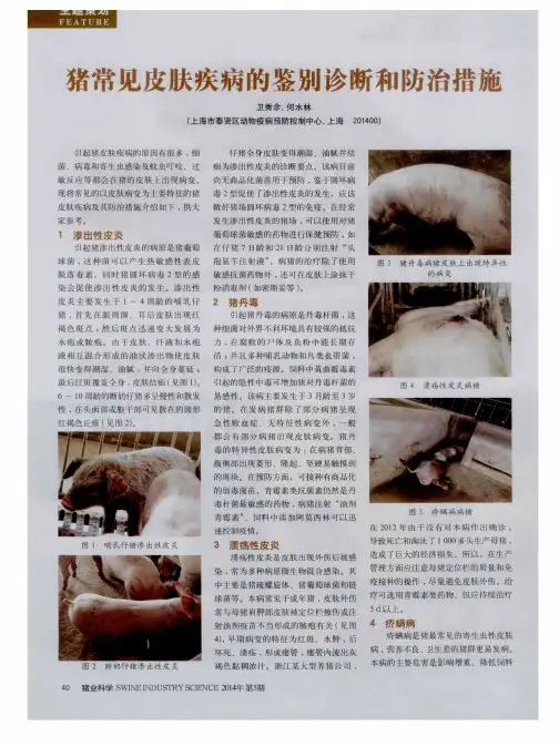 猪常见皮肤疾病的鉴别诊断和防治措施-论文