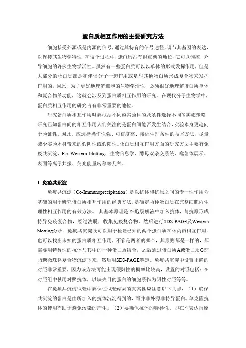 蛋白质相互作用的主要研究方法 2