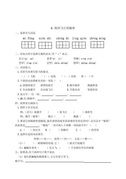 人教部编版四年级语文上册一课一练6夜间飞行的秘密(含答案)