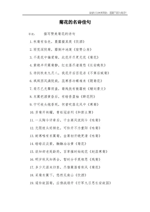 菊花的名诗佳句