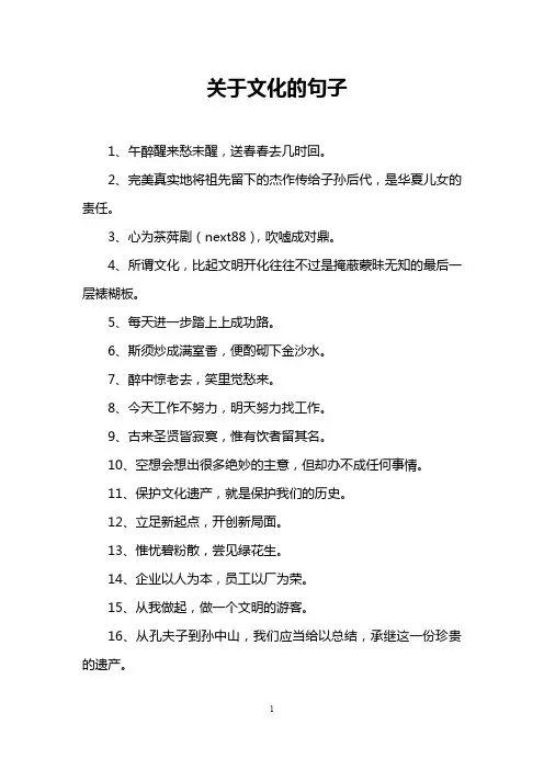 关于文化的句子