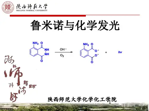 鲁米诺与化学发光ppt课件