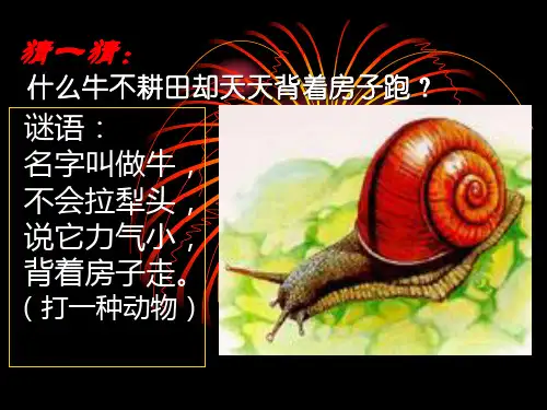 【三年级科学上册优质课件】2.2(教科版)三年级科学上册课件_蜗牛1
