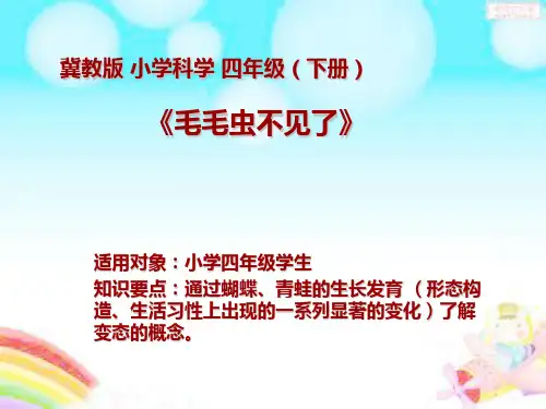 《毛毛虫不见了》微课