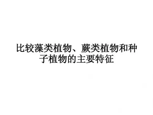 植物特征比较