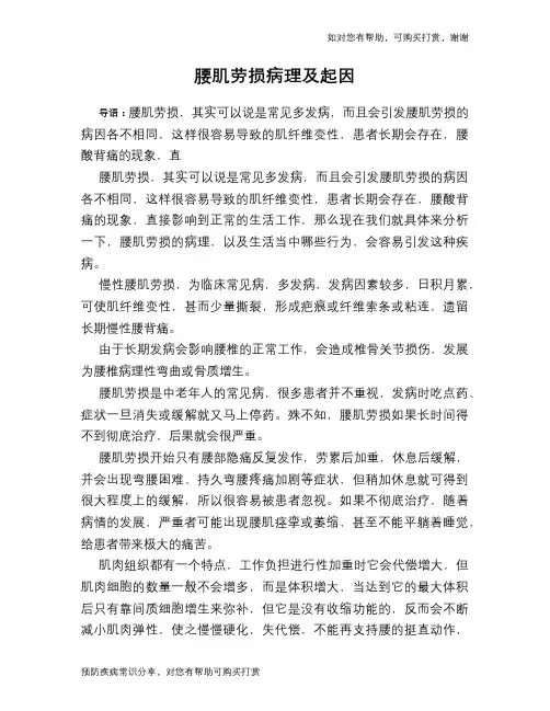 腰肌劳损病理及起因