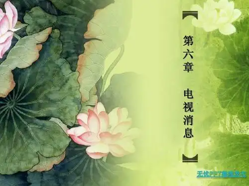 电视消息
