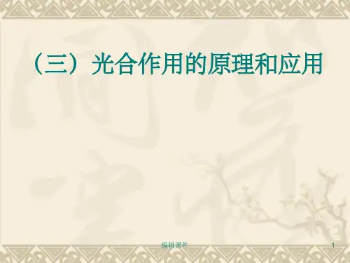生物：542《光合作用的原理和应用》课件新人教版必修