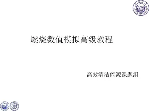 4 燃烧数值模拟高级教程