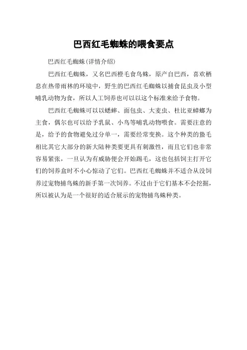 巴西红毛蜘蛛的喂食要点