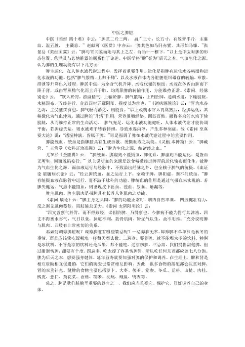 中医之脾脏